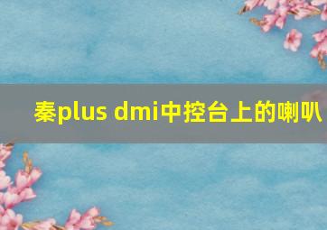 秦plus dmi中控台上的喇叭